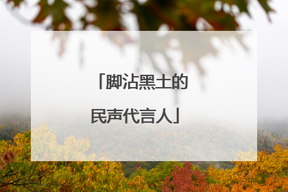 脚沾黑土的民声代言人