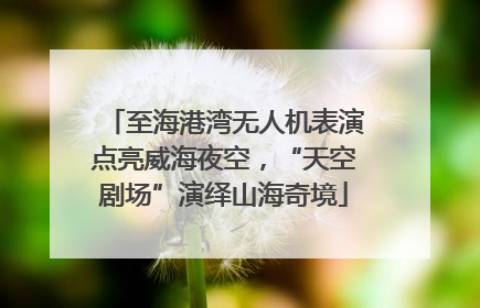 至海港湾无人机表演点亮威海夜空，“天空剧场”演绎山海奇境