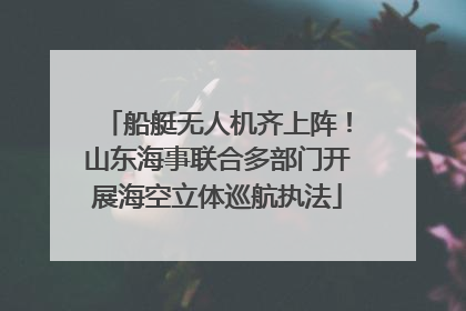 船艇无人机齐上阵！山东海事联合多部门开展海空立体巡航执法