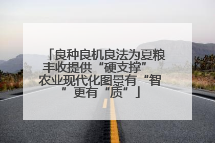 良种良机良法为夏粮丰收提供“硬支撑” 农业现代化图景有“智”更有“质”