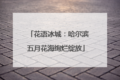 花语冰城：哈尔滨五月花海绚烂绽放