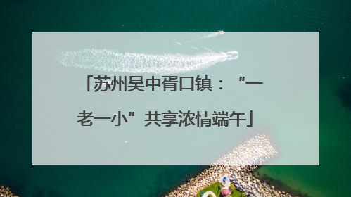苏州吴中胥口镇：“一老一小”共享浓情端午