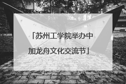 苏州工学院举办中加龙舟文化交流节