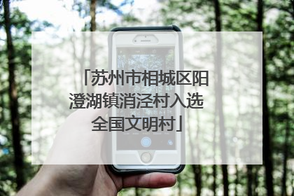 苏州市相城区阳澄湖镇消泾村入选全国文明村