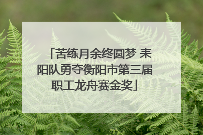 苦练月余终圆梦 耒阳队勇夺衡阳市第三届职工龙舟赛金奖