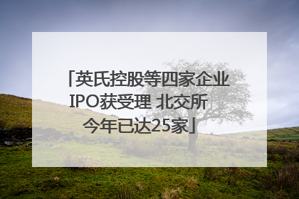 英氏控股等四家企业IPO获受理 北交所今年已达25家