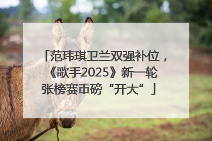 范玮琪卫兰双强补位，《歌手2025》新一轮张榜赛重磅“开大”
