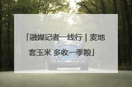 融媒记者一线行｜麦地套玉米 多收一季粮