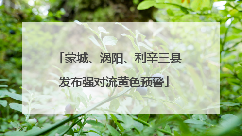 蒙城、涡阳、利辛三县发布强对流黄色预警