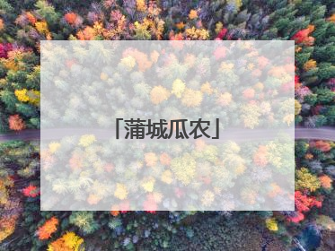 蒲城瓜农