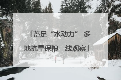 蓄足“水动力” 多地抗旱保粮一线观察