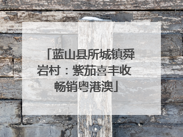 蓝山县所城镇舜岩村：紫茄喜丰收 畅销粤港澳