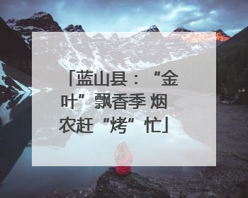 蓝山县：“金叶”飘香季 烟农赶“烤”忙