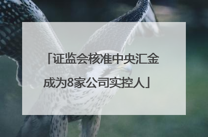证监会核准中央汇金成为8家公司实控人