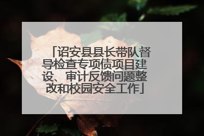 诏安县县长带队督导检查专项债项目建设、审计反馈问题整改和校园安全工作