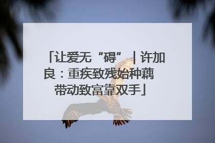 让爱无“碍”｜许加良：重疾致残始种藕 带动致富靠双手