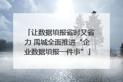 让数据填报省时又省力 禹城全面推进“企业数据填报一件事”