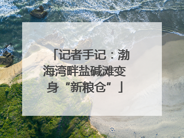 记者手记：渤海湾畔盐碱滩变身“新粮仓”