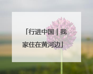 行进中国｜我家住在黄河边