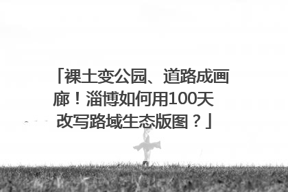 裸土变公园、道路成画廊！淄博如何用100天改写路域生态版图？