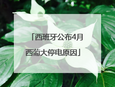 西班牙公布4月西葡大停电原因
