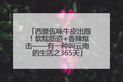 西盟佤味牛皮出圈！软糯筋道+香辣爆击——有一种叫云南的生活之365天