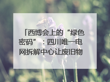 西博会上的“绿色密码”：四川唯一电网拆解中心让废旧物资“重生”｜西博寻“新”记