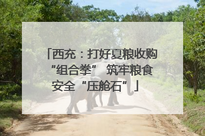 西充：打好夏粮收购“组合拳” 筑牢粮食安全“压舱石”