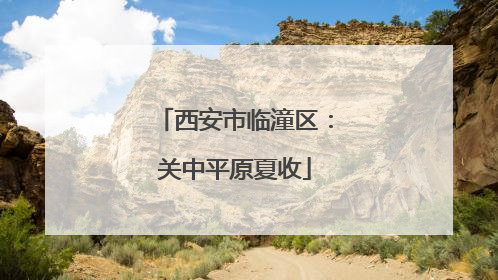 西安市临潼区：关中平原夏收