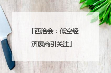 西洽会：低空经济展商引关注