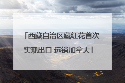 西藏自治区藏红花首次实现出口 远销加拿大