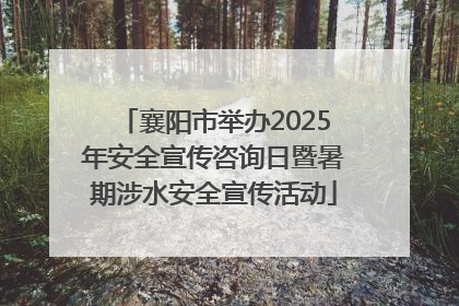 襄阳市举办2025年安全宣传咨询日暨暑期涉水安全宣传活动