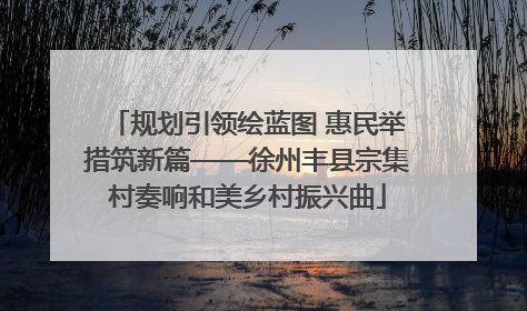 规划引领绘蓝图 惠民举措筑新篇——徐州丰县宗集村奏响和美乡村振兴曲