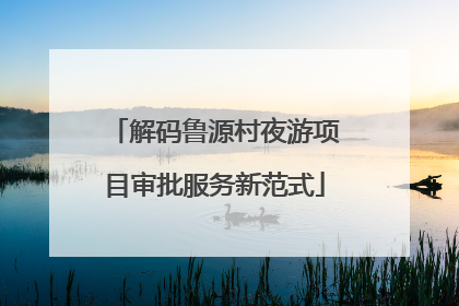 解码鲁源村夜游项目审批服务新范式