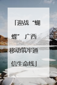 迎战“蝴蝶” 广西移动筑牢通信生命线