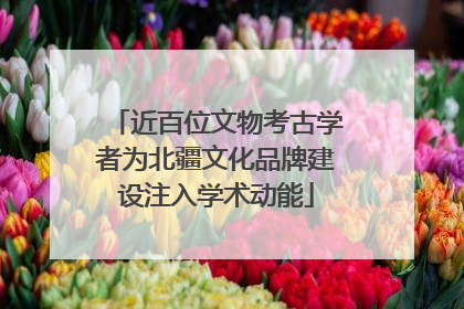 近百位文物考古学者为北疆文化品牌建设注入学术动能