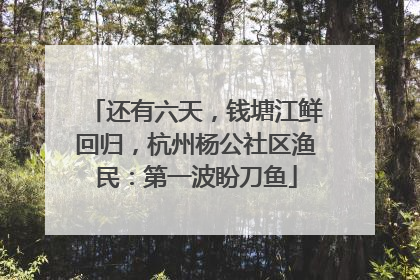 还有六天，钱塘江鲜回归，杭州杨公社区渔民：第一波盼刀鱼