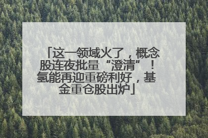 这一领域火了，概念股连夜批量“澄清”！氢能再迎重磅利好，基金重仓股出炉