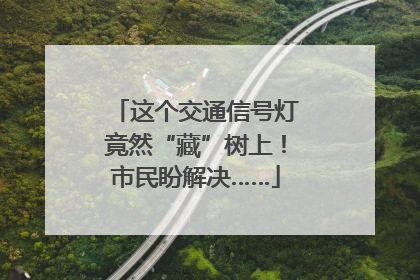 这个交通信号灯竟然“藏”树上！市民盼解决……