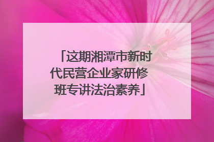 这期湘潭市新时代民营企业家研修班专讲法治素养