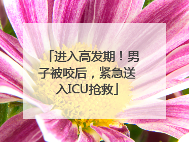 进入高发期！男子被咬后，紧急送入ICU抢救