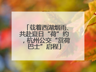 载着西湖烟雨、共赴夏日“荷”约，杭州公交“赏荷巴士”启程