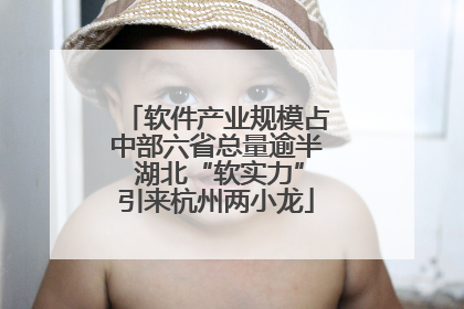 软件产业规模占中部六省总量逾半 湖北“软实力”引来杭州两小龙