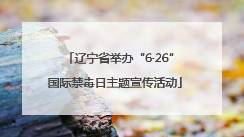 辽宁省举办“6·26”国际禁毒日主题宣传活动