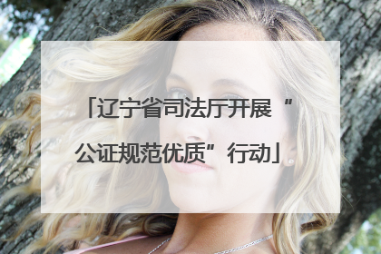 辽宁省司法厅开展“公证规范优质”行动