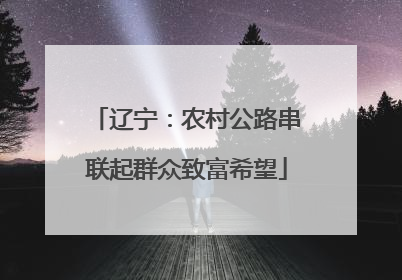 辽宁：农村公路串联起群众致富希望
