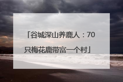 谷城深山养鹿人：70只梅花鹿带富一个村