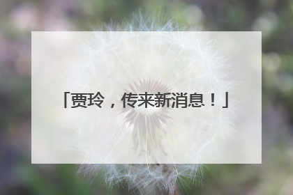 贾玲，传来新消息！