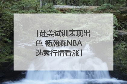 赴美试训表现出色 杨瀚森NBA选秀行情看涨