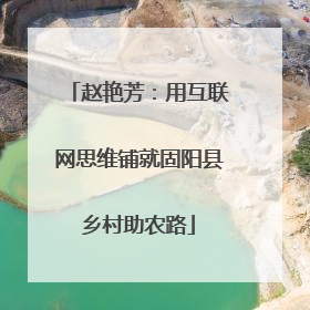赵艳芳：用互联网思维铺就固阳县乡村助农路